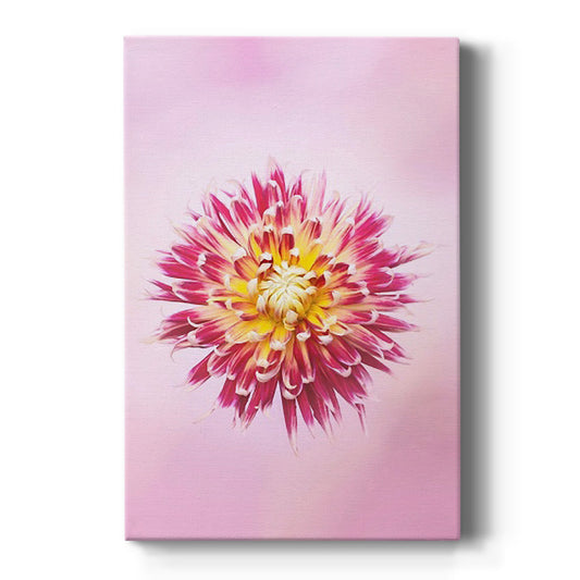 Exotic Flower Burst I - Canvas Art Print