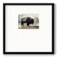 Geyser Basin Premium Framed Print Double Matboard