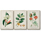 Turpin Tropical Botanicals IV - Framed Premium Gallery Wrapped Canvas L Frame 3 Piece Set - Ready to Hang