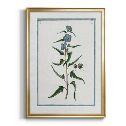 Shabby Chic Botanical I - Modern Framed Canvas Print