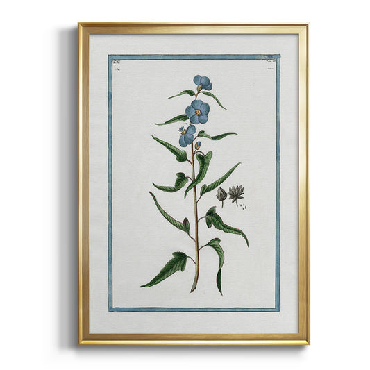 Shabby Chic Botanical I - Modern Framed Canvas Print