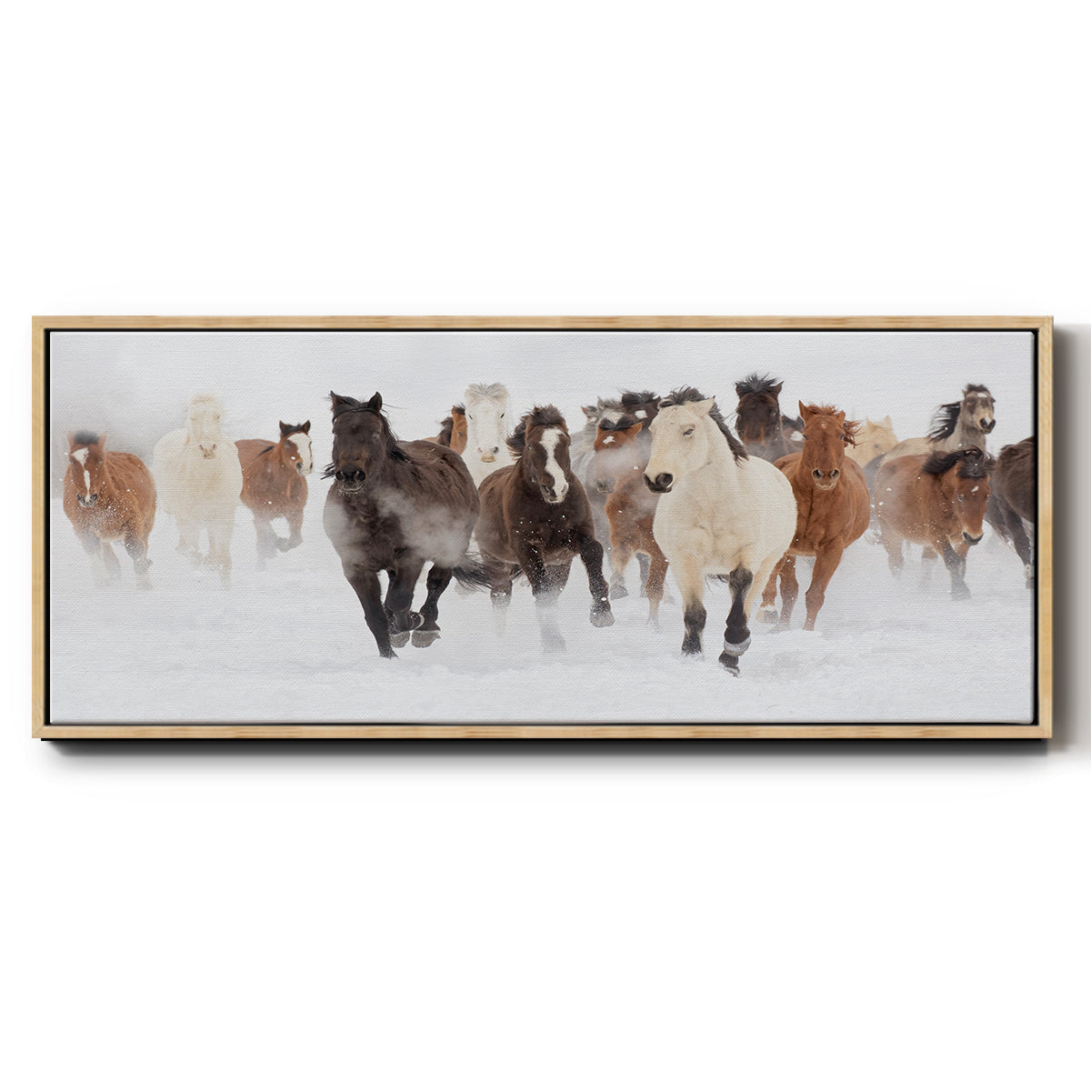 Pasture Run - Floater Framed Canvas Print
