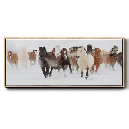 Pasture Run - Floater Framed Canvas Print