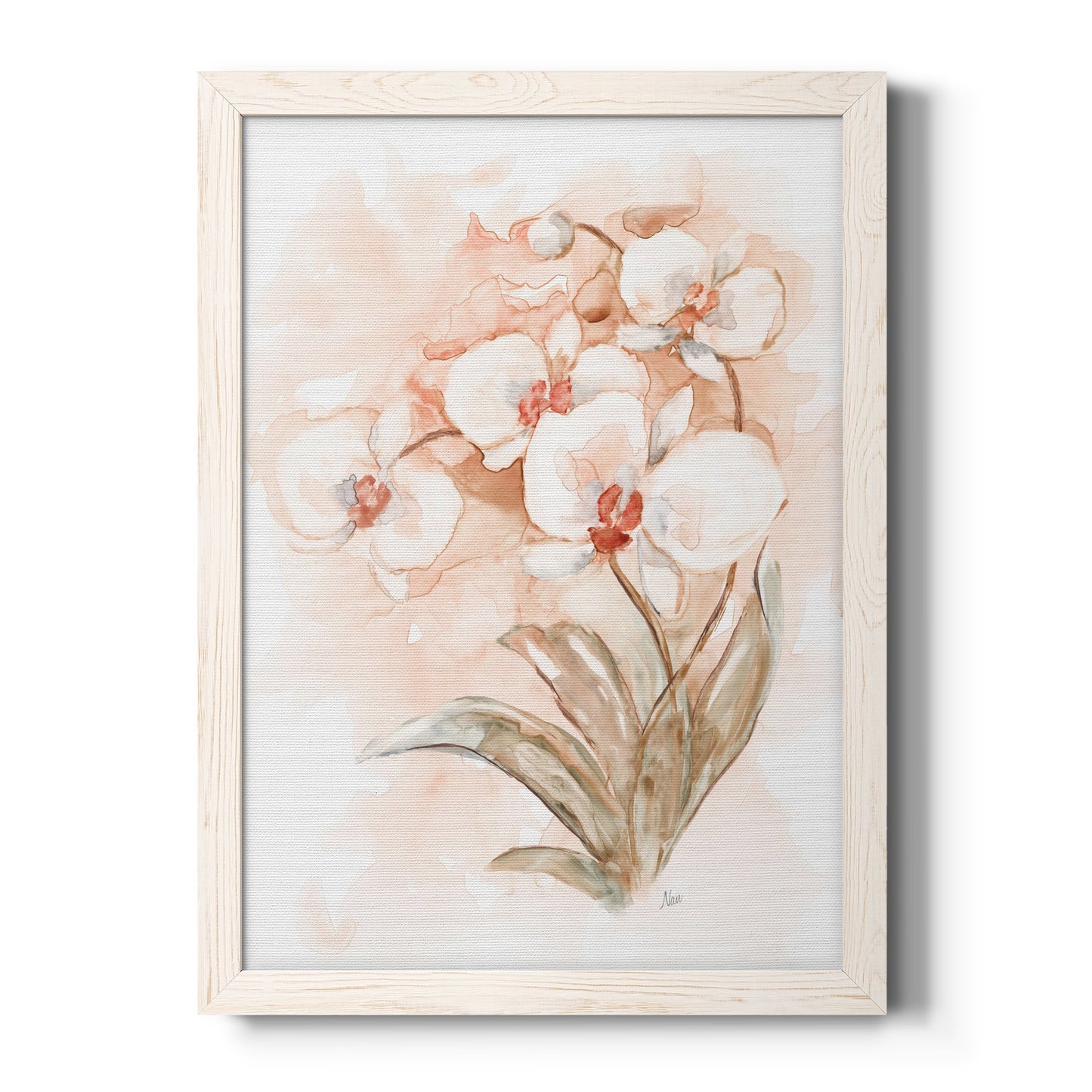 White and Coral Orchid II - Barnwood Framed Canvas Print