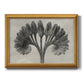 Vintage botanical plant study photograph by Karl Blossfeldt printed on canvas in an ornate antique gold frame.