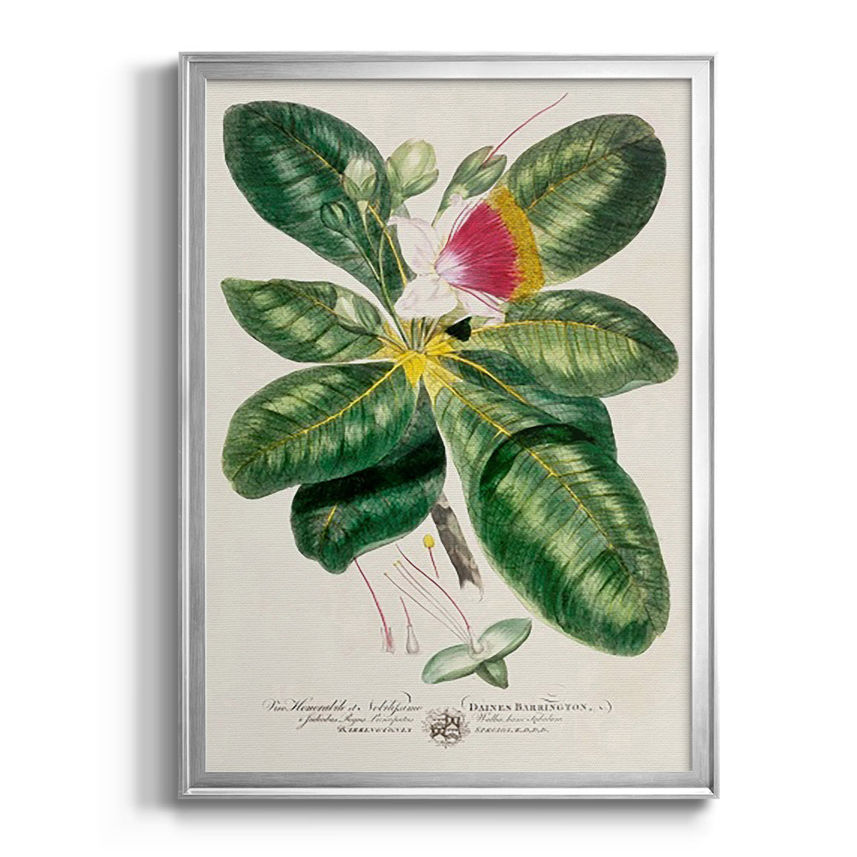 Imperial Tropical Botanical I - Modern Framed Canvas Print