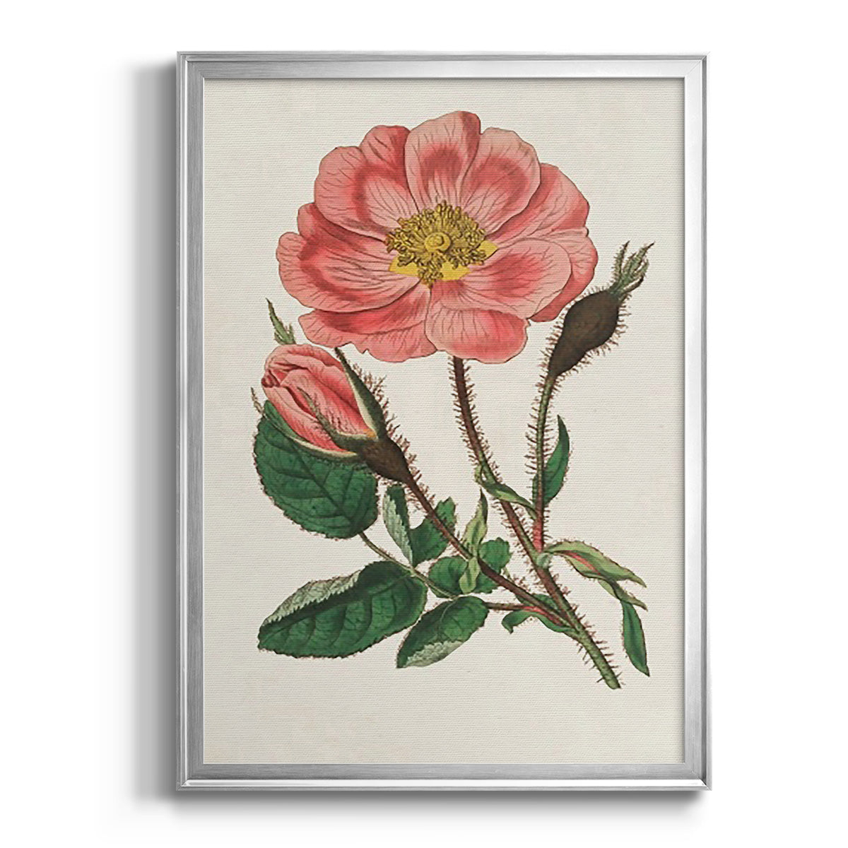 Pink Floral Mix IX - Modern Framed Canvas Print