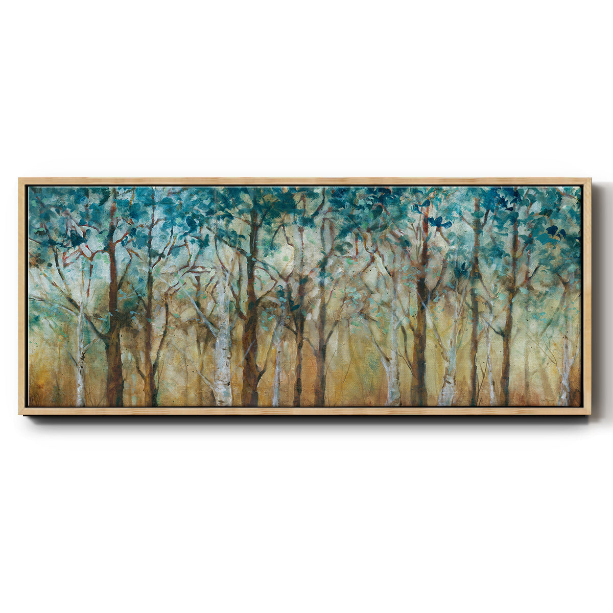 Sunlit Birch Grove - Floater Framed Canvas Print