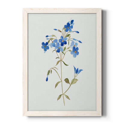 Blue Blossom Botanical II - Premium Canvas Framed in Barnwood - Ready to Hang