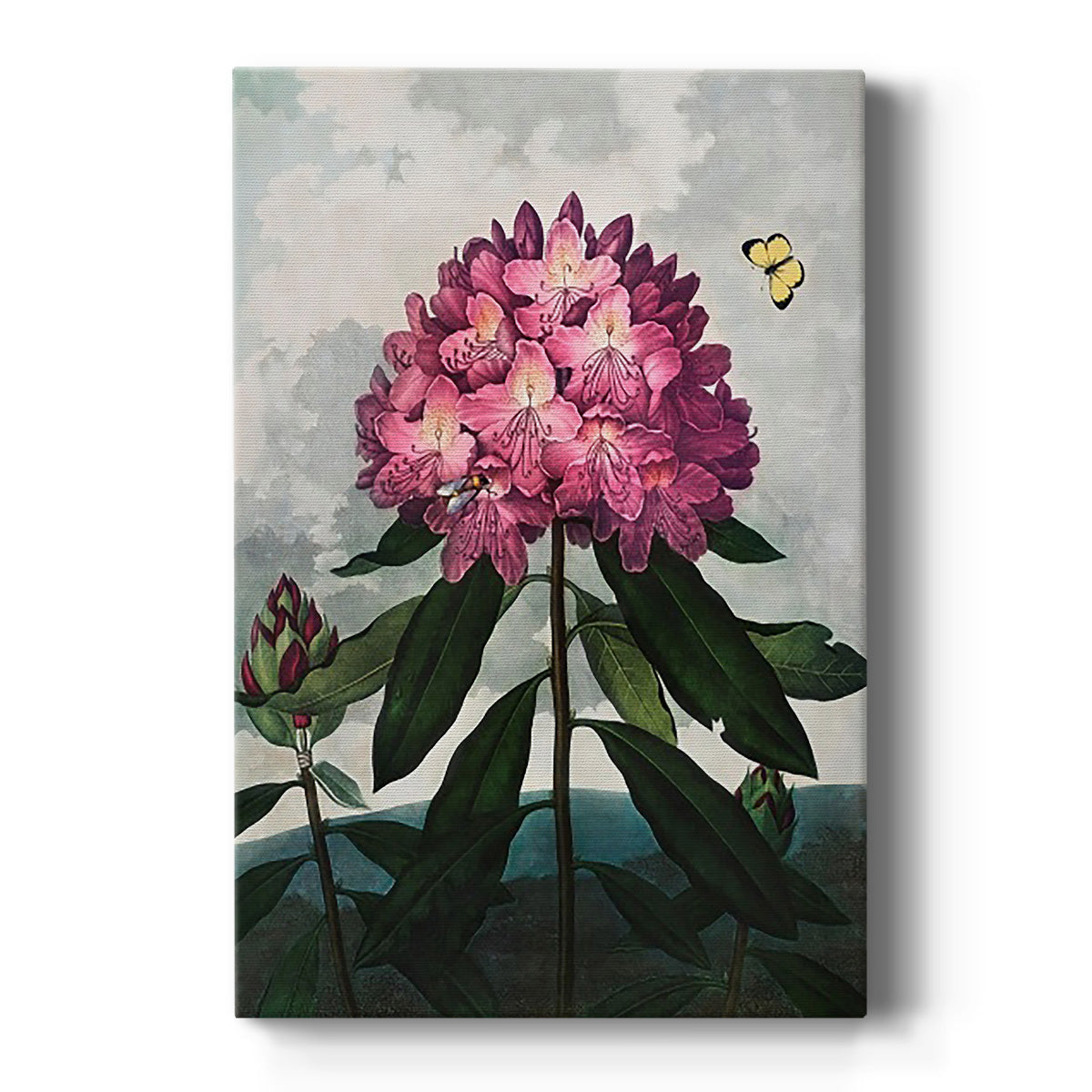 Temple of Flora X - Canvas Art Print