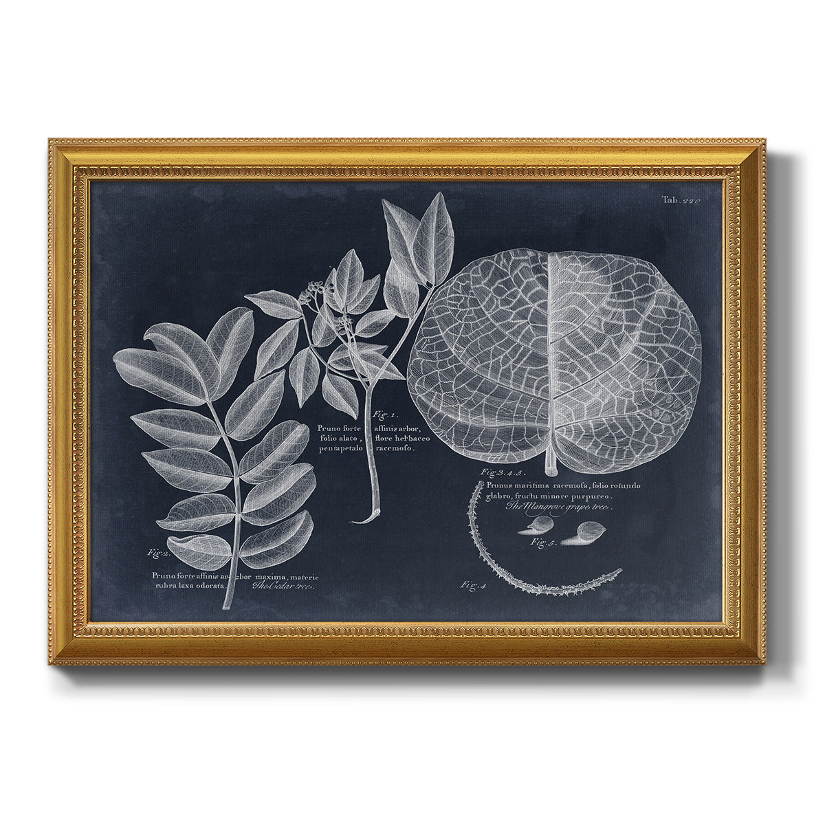 Foliage on Navy I Premium Framed Canvas- Ready to Hang