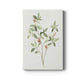 Single Sprig I Premium Gallery Wrapped Canvas - Ready to Hang