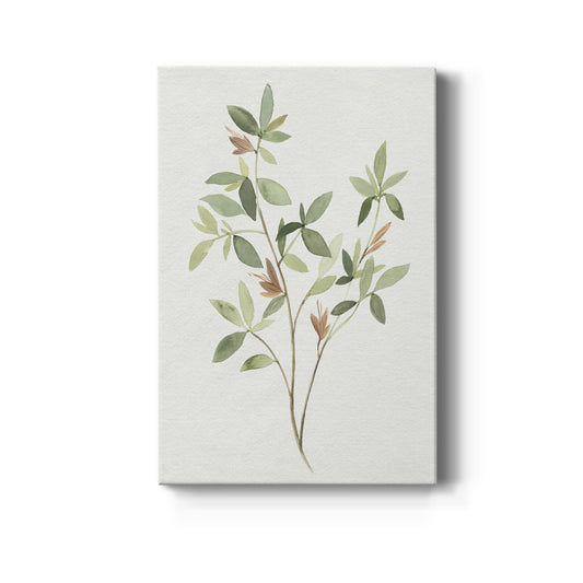 Single Sprig I Premium Gallery Wrapped Canvas - Ready to Hang