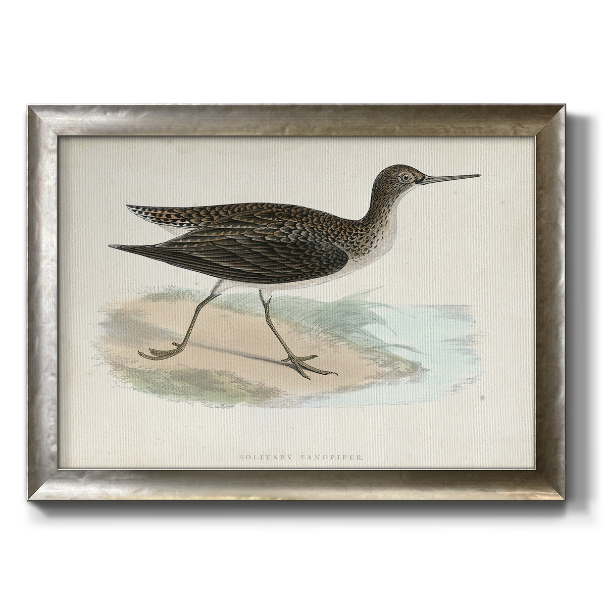 Morris Sandpipers VII Premium Framed Canvas- Ready to Hang