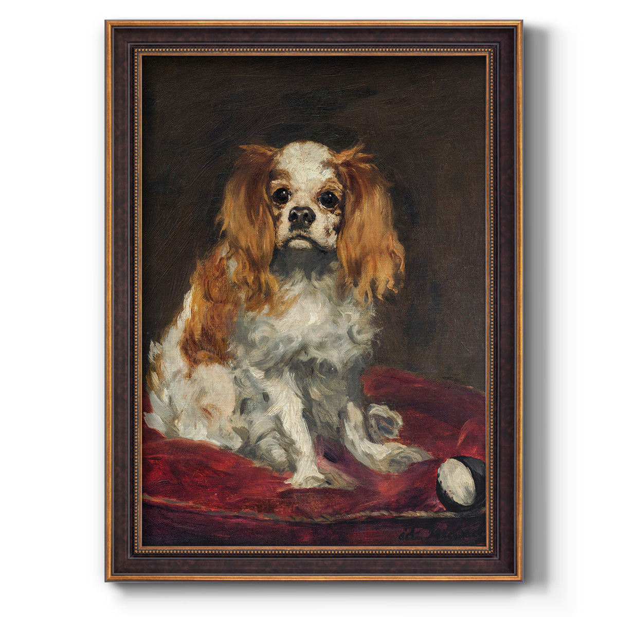 A King Charles Spaniel - Ornate Framed Canvas Print