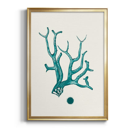 Antique Coastal Coral IX - Modern Framed Canvas Print