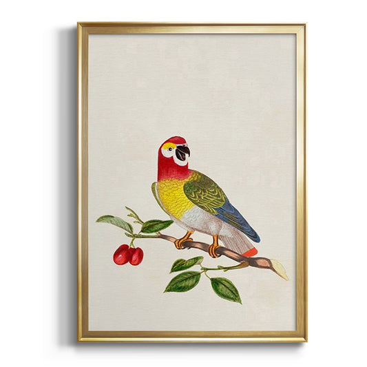 Bird in Habitat VI - Modern Framed Canvas Print