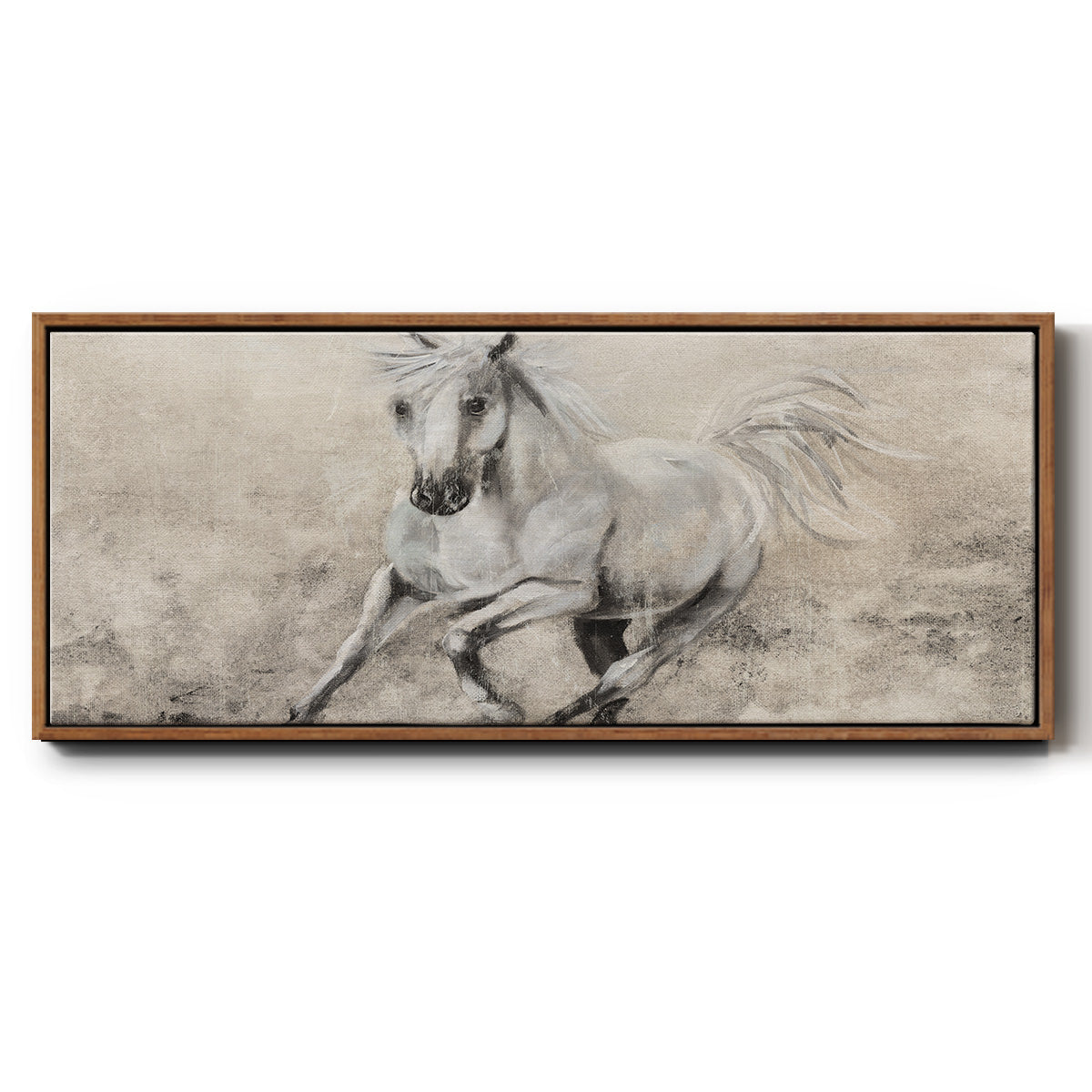 Majestic Stallion II - Floater Framed Canvas Print