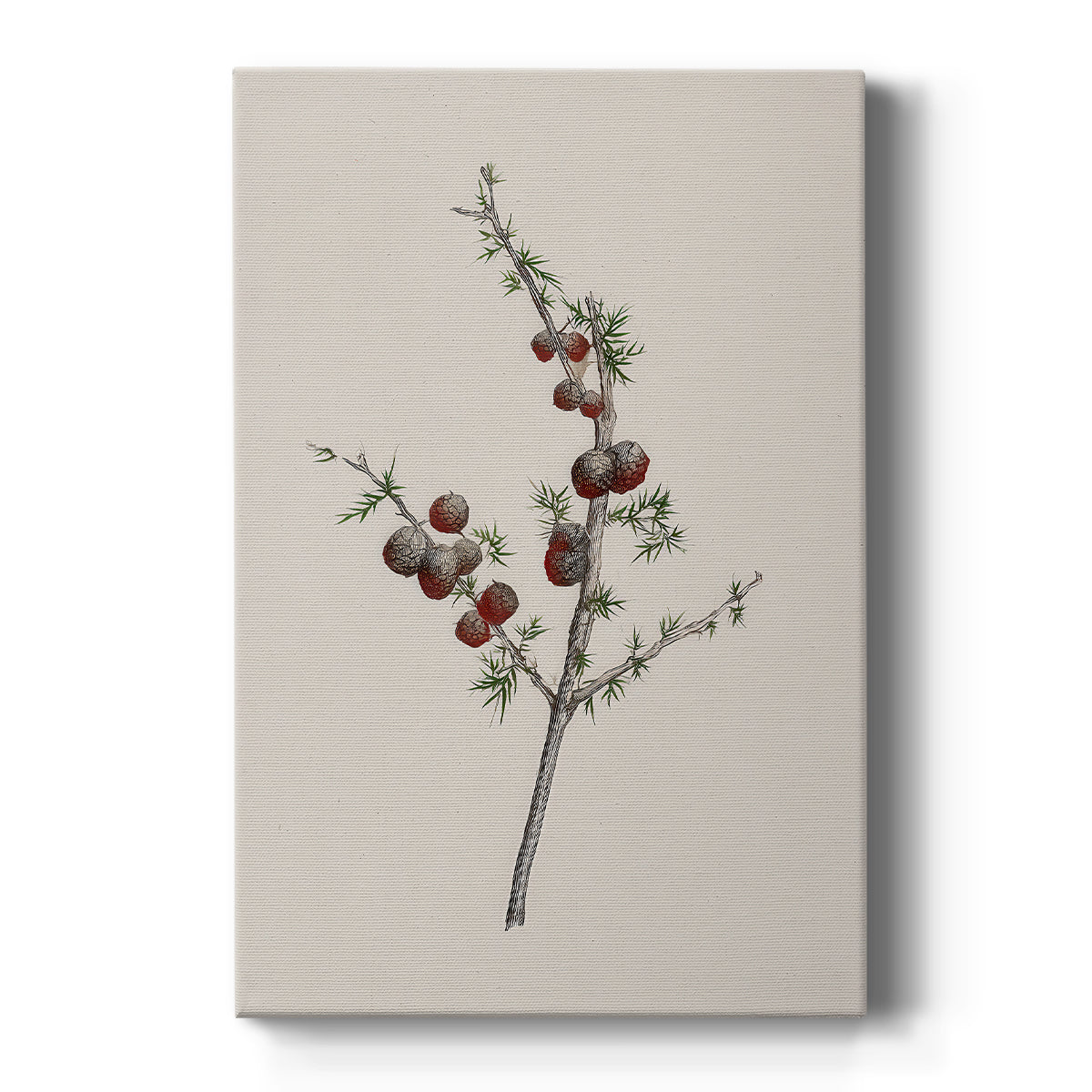 Twilight of Pearled Nativity - Canvas Art Print