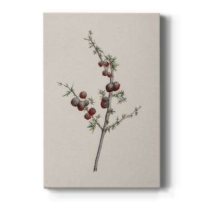 Twilight of Pearled Nativity - Canvas Art Print