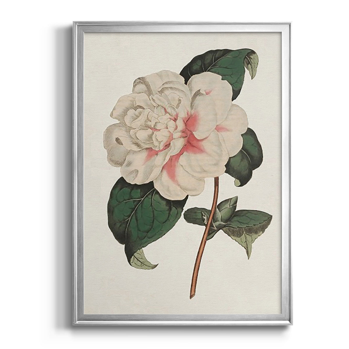 Pink Floral Mix VIII - Modern Framed Canvas Print