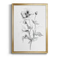 Wild Poppy Sketch - Modern Framed Canvas Print