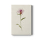 Mauve Garden Flowers VI Premium Gallery Wrapped Canvas - Ready to Hang