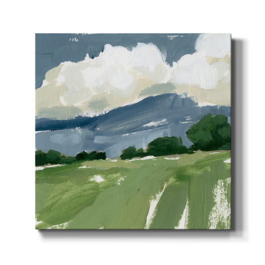 Spring Meadow Study IV-Premium Gallery Wrapped Canvas - Ready to Hang