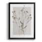 Field Study Page II - Modern Framed Canvas Print