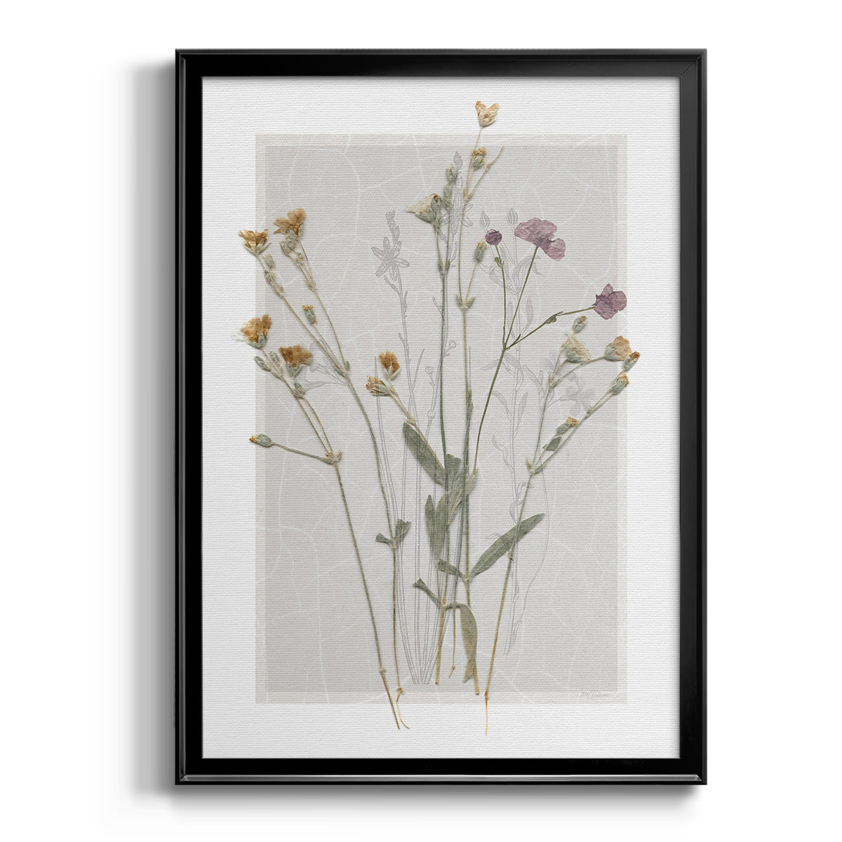 Field Study Page II - Modern Framed Canvas Print