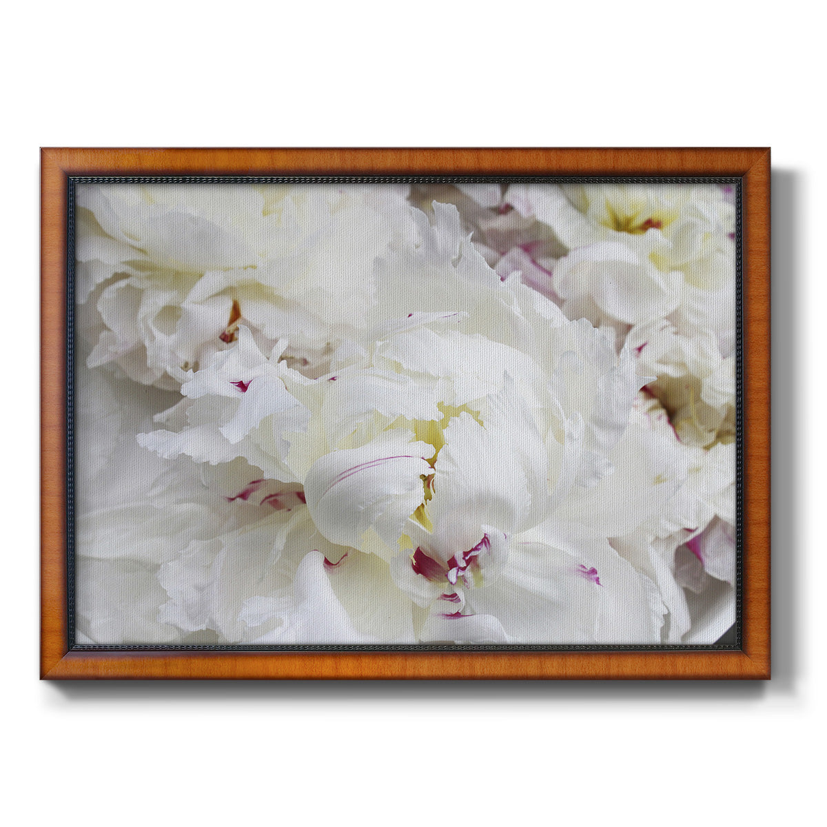 Breathless VI - Ornate Framed Canvas Print