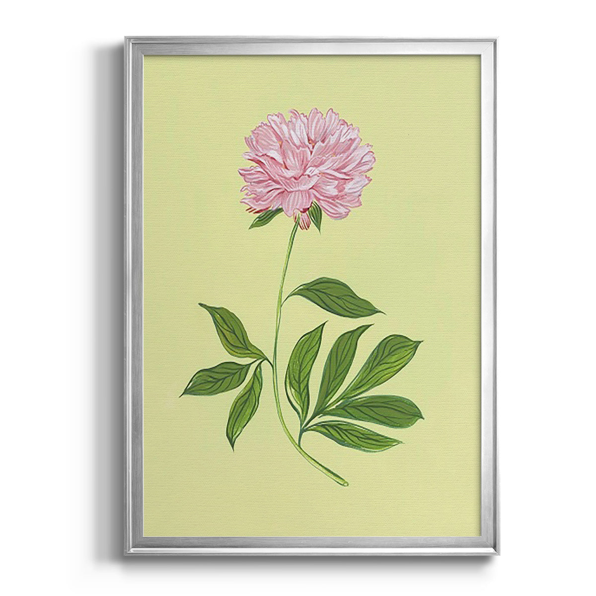 Peonies in Yellow I - Modern Framed Canvas Print