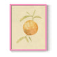 Dappled Oranges III - Restickable Framed Art Print
