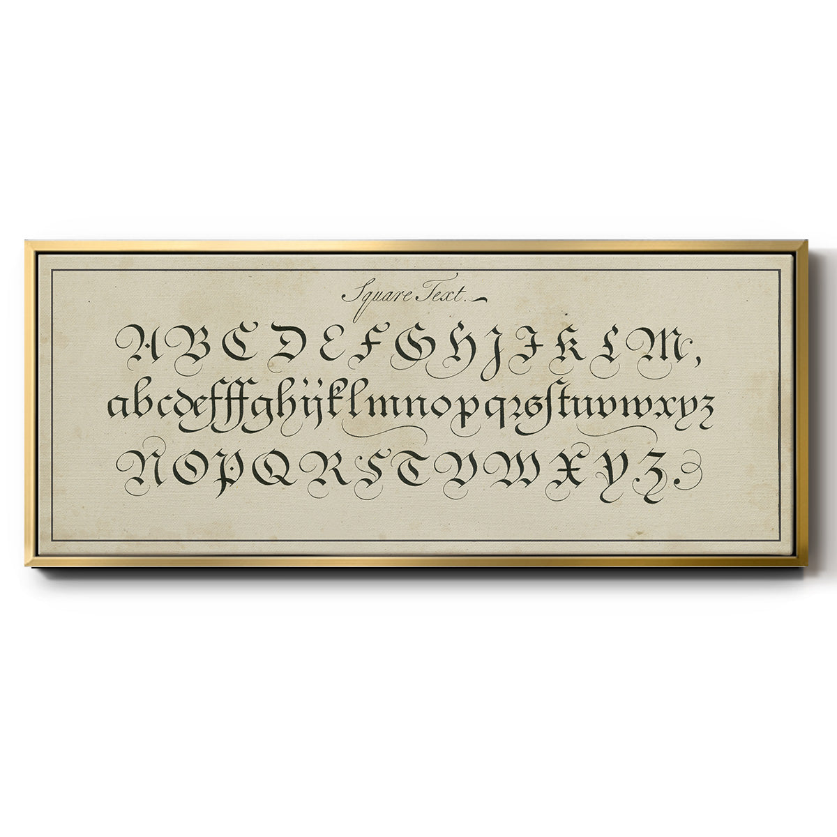 Manuscript Sampler III - Floater Framed Canvas Print