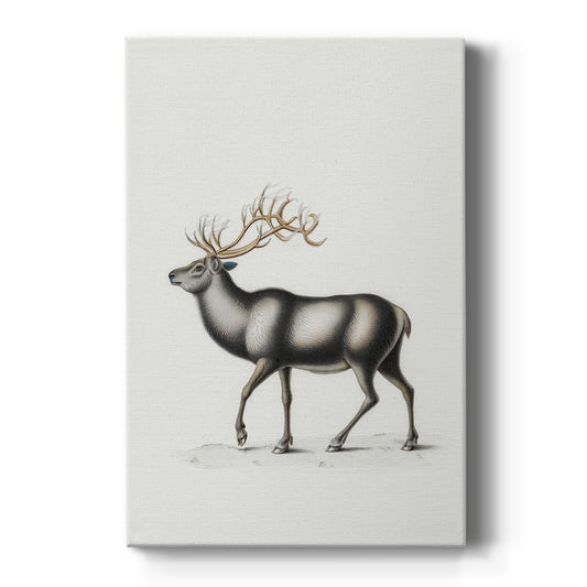 Evergreen of Snowwhite Promise - Canvas Art Print