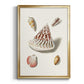 Pastel Knorr Shells VII - Modern Framed Canvas Print