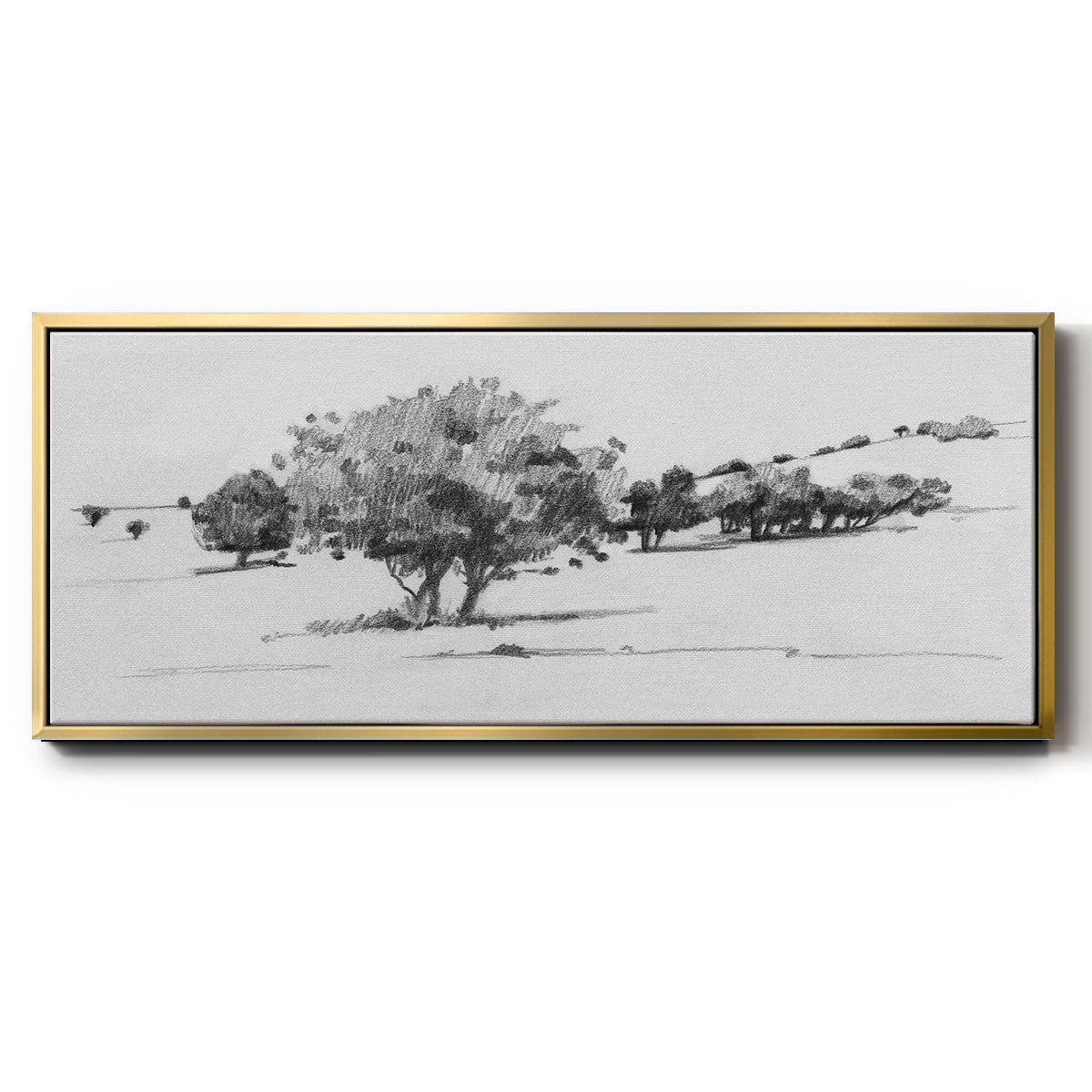 Treeline Sketch I - Floater Framed Canvas Print