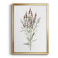 Dainty Botanical III - Modern Framed Canvas Print