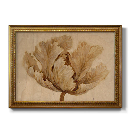 Sepia Tulip on Birch I - Ornate Framed Canvas Print