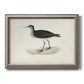 Morris Sandpipers VIII Premium Framed Canvas- Ready to Hang