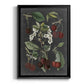 Orchard Varieties I - Modern Framed Canvas Print