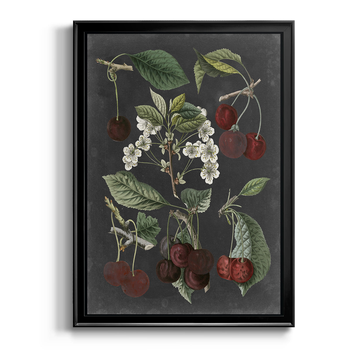 Orchard Varieties I - Modern Framed Canvas Print