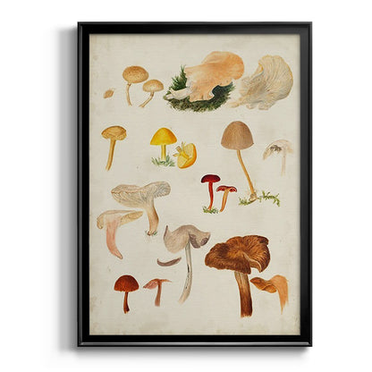 Mushroom Species XII - Modern Framed Canvas Print
