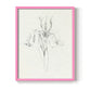 Neutral Iris Sketch I - Restickable Framed Art Print