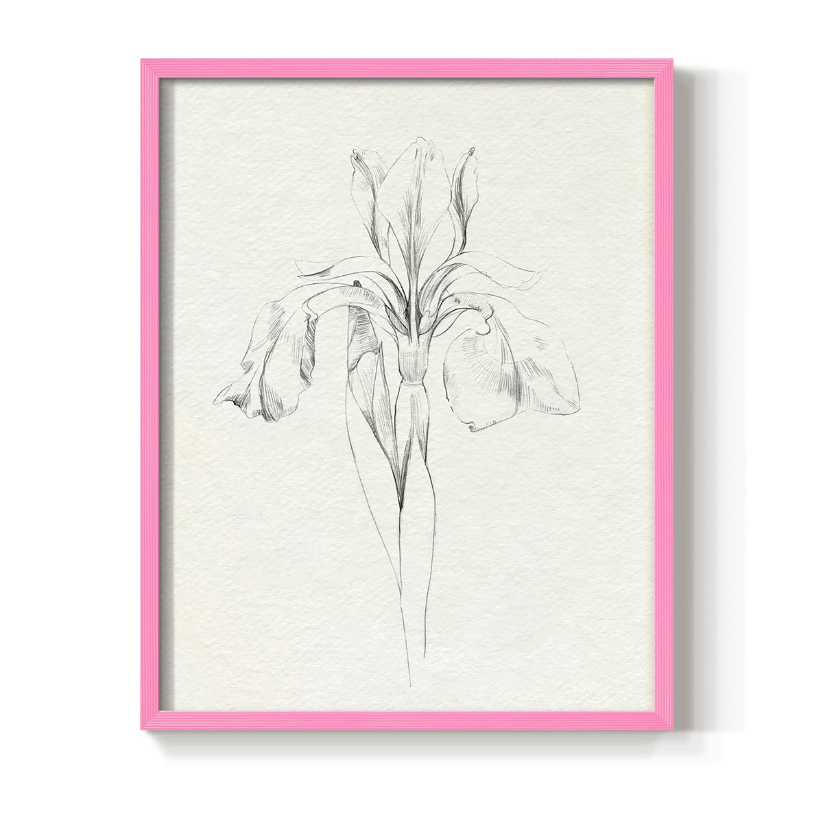 Neutral Iris Sketch I - Restickable Framed Art Print