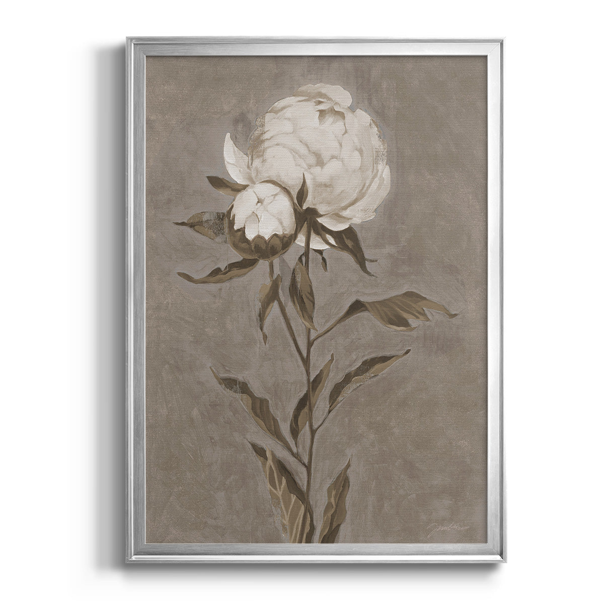 Pretty As A Peony II - Modern Framed Canvas Print
