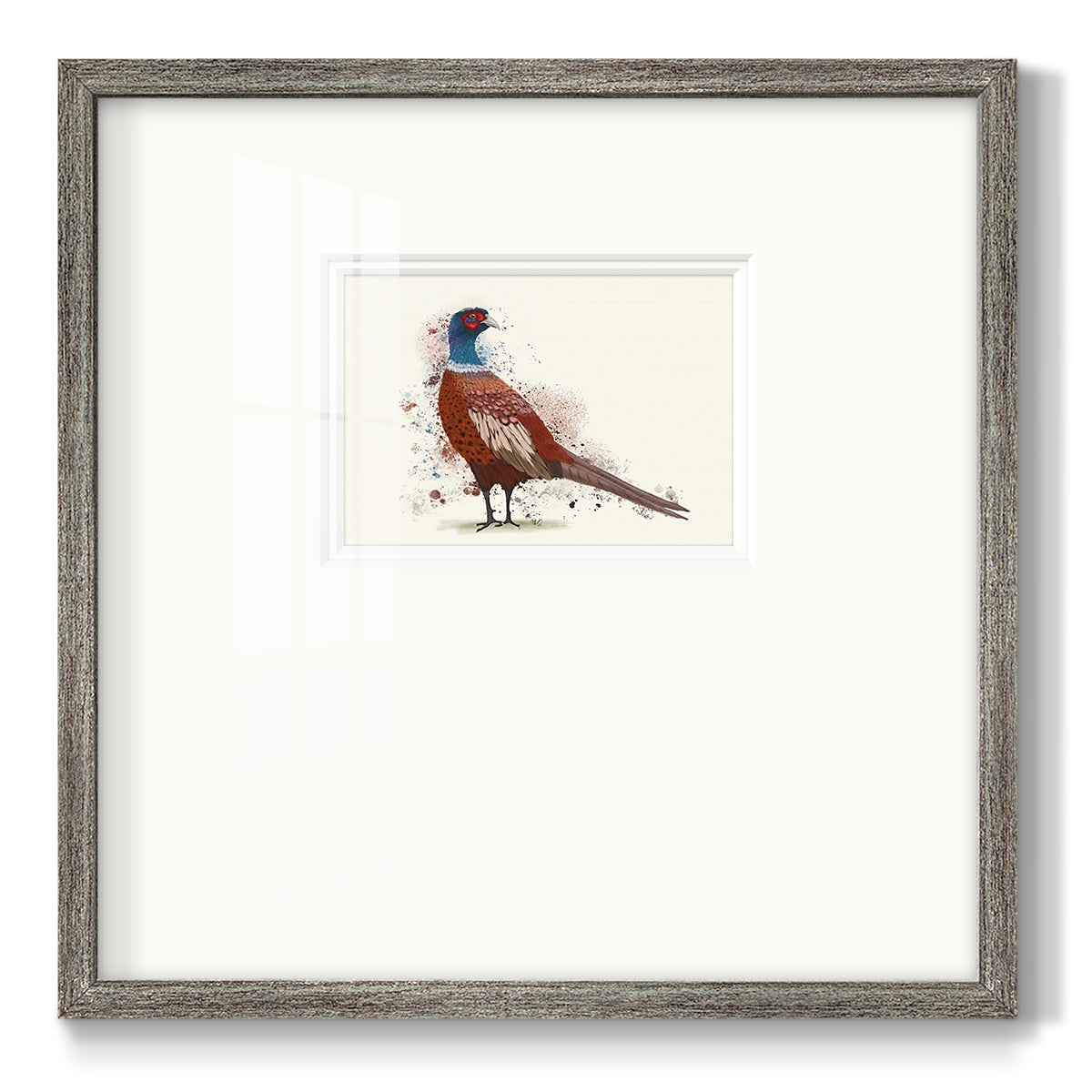 Pheasant Splash 5 Premium Framed Print Double Matboard