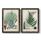 Set of two black barnwood framed canvas prints featuring two natural-history fern plates featuring vintage fern specimens with botanical details.