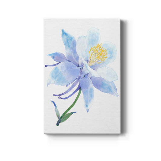 Columbine Bloom I Premium Gallery Wrapped Canvas - Ready to Hang