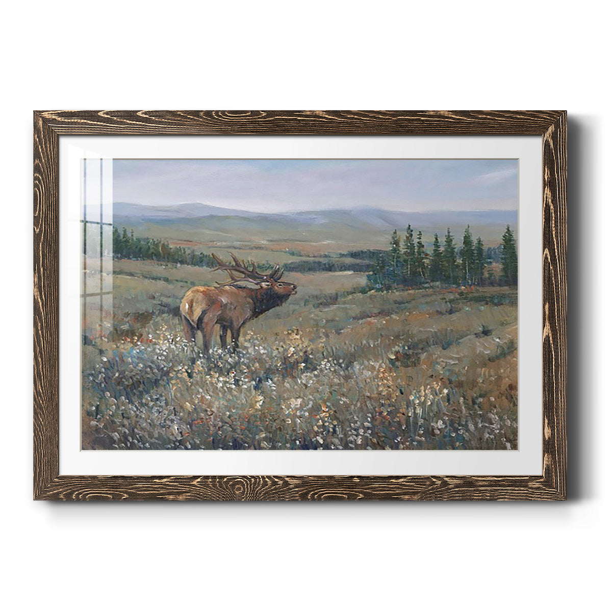 Western Wildlife I - Barnwood Framed Art Print